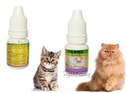 Penyakit mata merupakan salah satu kondisi yang kerap menimpa kucing. Obat Sakit Mata Kucing Kitten Bengkak Merah Berair Belek Tetes Tearz Lazada Indonesia