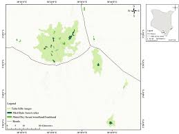 Image result for Chamaecrista zambesica