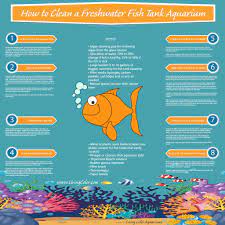 How To Clean A Freshwater Fish Tank Aquarium Infographic Living Color Care Open Sea Aquarium