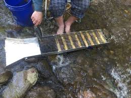 Gold tends to follow the shortest route between bends. Gold Prospecting In Pennsylvania The Sluice Box Steemit