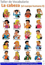 Spanish Basics How To Describe A Person S Face Learning Spanish Spanish Vocabulary Spanish Language Learning