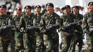 Esta agrupación ha participado en. Identidad Nacional En Las Fuerzas Armadas Por Amalia Kluge Vente Venezuela