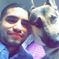 60+ "Platero" profiles