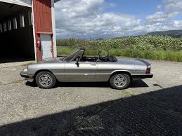 Image result for Avorio 1984 Alfa-Romeo