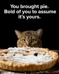 You said Pi Day. I heard personal pie.🥧🐈‍⬛ . . . . . #hopeaf