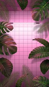 We hope you enjoy our growing collection of hd images to use as a background or home screen for your please contact us if you want to publish a tropical aesthetic wallpaper on our site. Aesthetic Tropical Wallpapers Top Free Aesthetic Tropical Backgrounds Wallpaperaccess