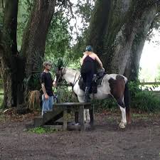 Affordable guided horseback trail riding in ocala. Mounting Steps Picture Of Cactus Jack S Trail Rides Ocala Tripadvisor