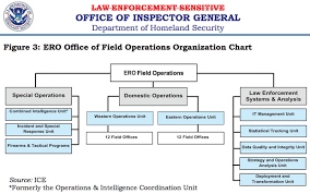 76 all inclusive dept of homeland security org chart