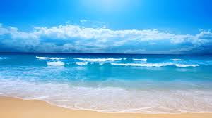 Virginia Beach Events Calendar Of The Best Events In Virginia Beach Beach Wallpaper Beach Pictures Beach Scenes