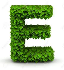 Letter e monogram letters retro font 80s rainbow cute pretty aesthetic colorful initial name learning alphabet. Leaves Alphabet Font Letter E On White Background Stock Photo Picture And Royalty Free Image Image 21304678