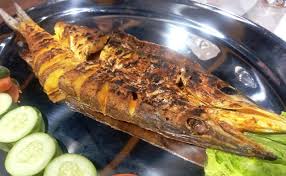 Barakuda adalah ikan predator, namu. Ikan Barakuda Adalah