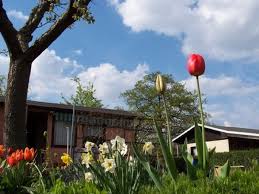 Zur website der stadtreinigung dresden. Vereine Im Stadtverband Dresdner Gartenfreunde