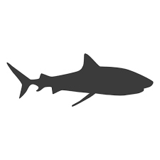 Download Shark Fin Silhouette Transparent Png Svg Vector File