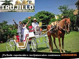We did not find results for: Alquiler De Carruajes Para Bodas Quince Anos Posts Facebook