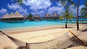 The 360 ° view is exceptional with its symphonies. Bora Bora Tahiti Resort Beach Hammocks Palm Trees Sand Sea Vacations Walkway Bungalow Nature Landscape Hd Wallpaper Wallpaperbetter