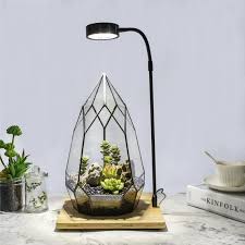 Ncyp Tabletop Natural Wood Board Led Succulents Grow Light Display Indoor Usb 10w For Geometric Gl Succulent Terrarium Geometric Terrarium Terrarium