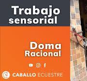 Trabajo sensorial de elementos para desensibilizar correctamente el caballo  - Doma Racional