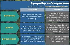 Sympathy Compassion English Vocabulary Learnenglish Nervous System Anatomy Parasympathetic Nervous System Peripheral Nervous System