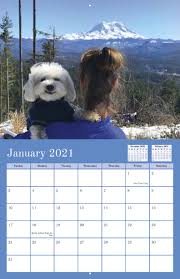 Shop dog calendars by breed. Largent 2021 Calendar Fundraising