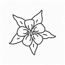 We did not find results for: Tattoo Columbine Flower Drawing Novocom Top