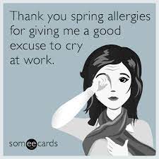 Today S News Entertainment Video Ecards And More At Someecards Someecards Com Allergies Funny Spring Allergies Funny Allergies Quote