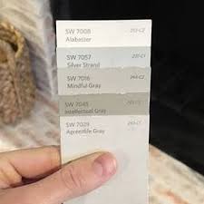 Color scheme for intellectual gray sw 7045 : 16 Intellectual Gray Ideas Intellectual Gray Paint Colors For Home Paint Colors
