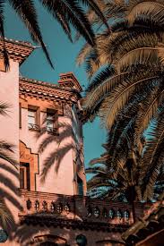 Hd wallpapers and background images Peach Aesthetic Pictures Download Free Images On Unsplash