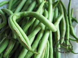 Haricots Que Faire Avec Choix Cuisson Conservation Recettes De La Fourchette Aux Papilles Estomaquees Made By Titanick