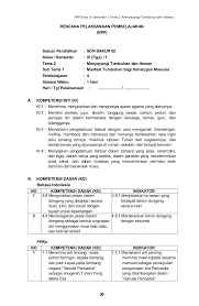 Rpp kelas 4 tema 1 subtema 3. Rpp Sd Kelas 3 Tema 2 Menyayangi Tumbuhan Dan Hewan Revisi 2018