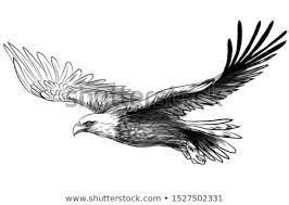 Bald Eagle Clipart Black And White Soaring Bald Eagle Graphic Black And White Drawing Sketch Of A Bird Of Prey On A White Background In 2020 Eagle Tattoo Tribal Eagle Tattoo Bald Eagle Tattoos