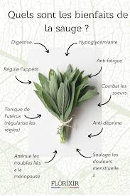 Epingle Sur Bienfaits Des Plantes Aromatiques Et Medicinales