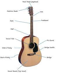 Before getting into what all those numbers, dots, and letters mean, let's take a look at a blank diagram and break that down first: The Parts Of The Acoustic Guitar Diagram