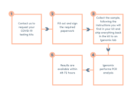 Figure 1, bands or ladder like steps of pcr polymerase chain reaction (pcr) is a chemical reaction harnessed to detect and identify trace bits. Pcr Covid 19 Igenomix With Science On Your Side