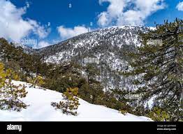 Verschneite Landschaft im Troodos-Gebirge in Trodoos, Zypern, Europa |  Snowy winter landscape of the Troodos Mountains in Trodoos, Cyprus, Europ  Stock Photo - Alamy