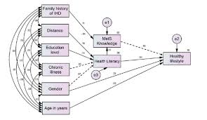 Bajau the second largest ethnic group in sabah, the bajaus make up about 15% of the state's population. Determinants Of Health Literacy And Healthy Lifestyle Against Metabolic Syndrome Among Major Ethnic Groups Of Sarawak Malaysia A Multi Group Path Analysis