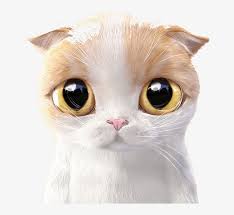 They come from the felidae family and are small and furry creatures, which are carnivorous mammals there are various kinds of cats in the felidae family. Siamese Cat Kitten Cuteness Mobile Phone Wallpaper Cute Cartoon Cat Free Transparent Png Download Pngkey