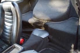 Image result for Bianco 1965 Fleet