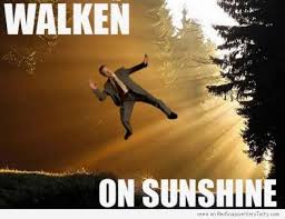 Walken On Sunshine Meme Funny Puns Walken Funny Pictures