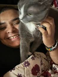 Lost declawed male cat in Great Oaks/Beacon Hill area of Rockford