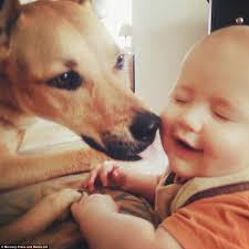 Amazing photos show toddler Carter and his dog Toby's bond