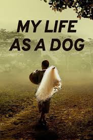 My Life as a Dog (1997) - Plex