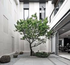 pin by 赵菁on 户外 阳台 outdoor plants road