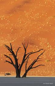Bottom of dried deadvlei lake. Dune Camelthorn Tree And Oryx Deadvlei Namibia Painting Inspiration Painting Art