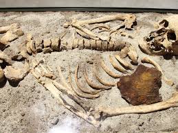It also has some applications in geology; Climate Change Might Break Carbon Dating Smart News Smithsonian Magazine