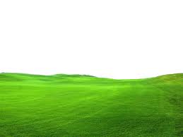 Green Grass Png File Use Freely By Theartist100 On Deviantart Photo Background Images Hd Photo Background Images Grass Field