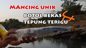 Menangkap ikan dengan botol, cara menangkap ikan dengan botol plastik ikan belanak mudah sekali ditangkap dengan. Mancing Ikan Disungai Menggunakan Botol Plastik Bekas Youtube