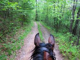 Camp creek state park is located about. Horse Camping Weekend At Camp Creek State Park In West Virginia Equitrekking