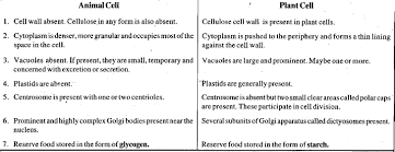 If you look at a plant cell and an animal cell you will see they have similarities and difference. What Is The Difference Between Animal Cells Amp Plant Cells Brainly In