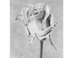 Pin On Drawing Idea S