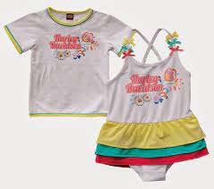 Pin On Adventure Harley Davidson